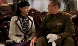 黑狐电视剧免费观看,揭秘神秘特工传奇，免费观看尽享谍战风云